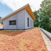 toiture végétalisée maison en ossature bois